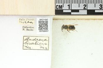 Media type: image;   Entomology 768657 Aspect: Labels